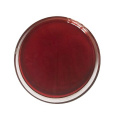 Strawberry Juice Concentrate in brix:65+/-1% in drum packing